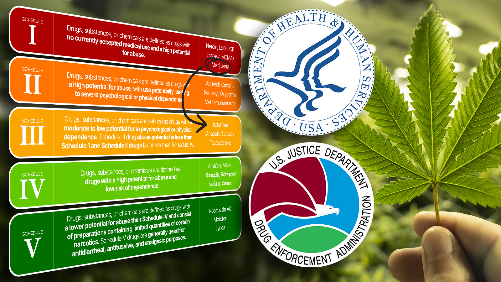 230927_MarijuanaLINC-Alert