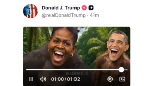 3DC5THDXZRFGNKJQDCO4SCOTSE-1