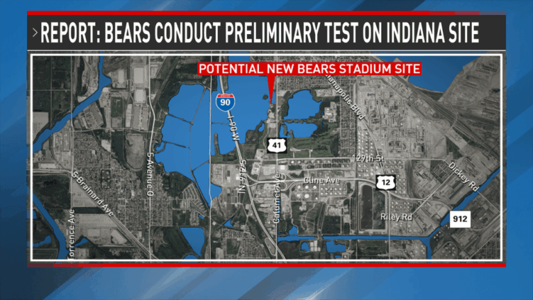 753f316d-c937-46e3-8fd5-68208c55120a-bears-1